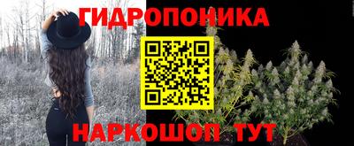 круглые Обь