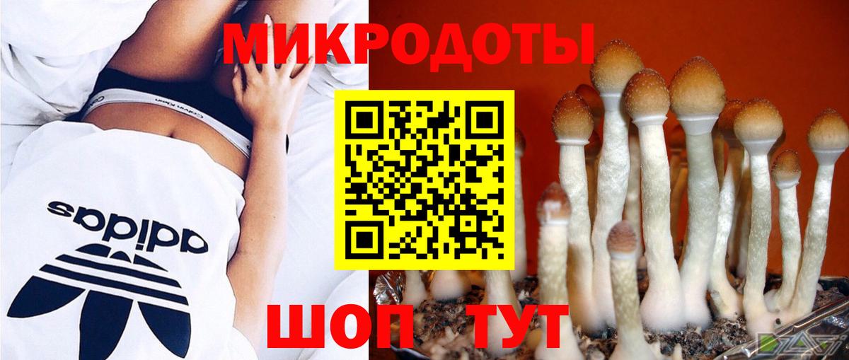 Псилоцибиновые грибы MAGIC MUSHROOMS Сунжа
